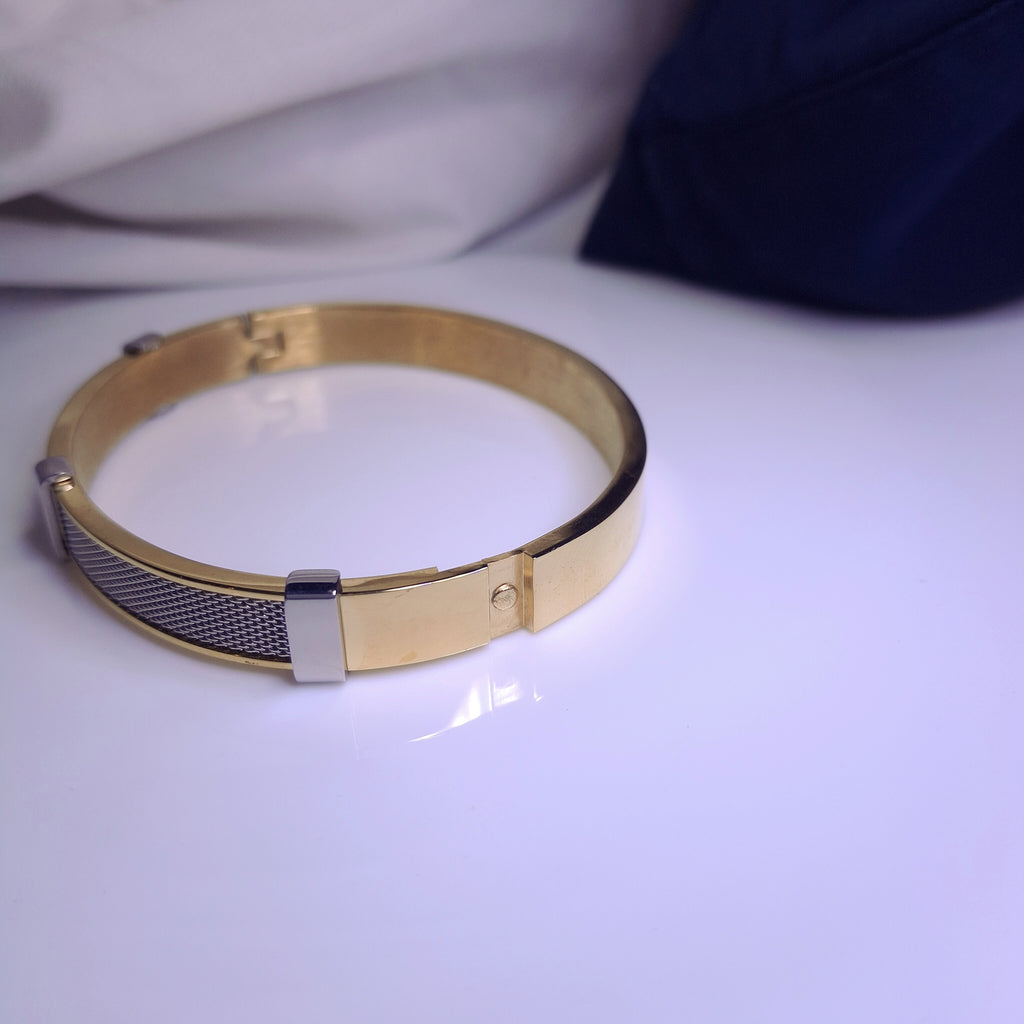 Titan Edge Dual-Tone Bracelet