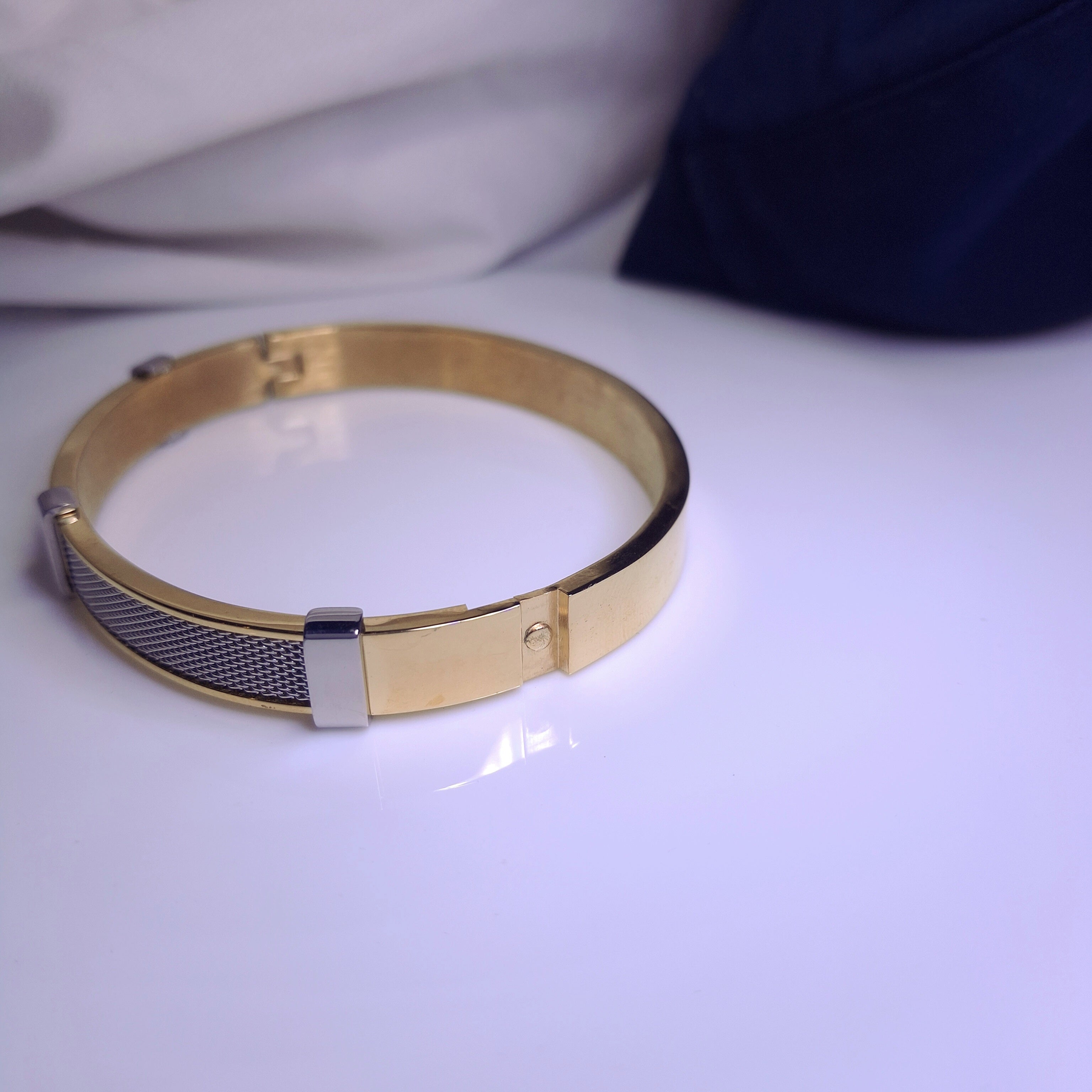 Titan Edge Dual-Tone Bracelet