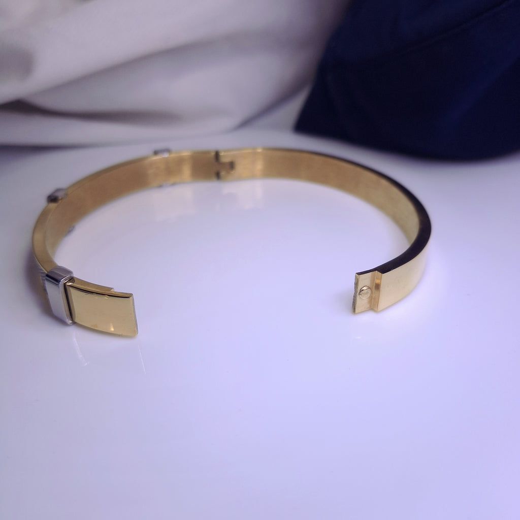 Titan Edge Dual-Tone Bracelet