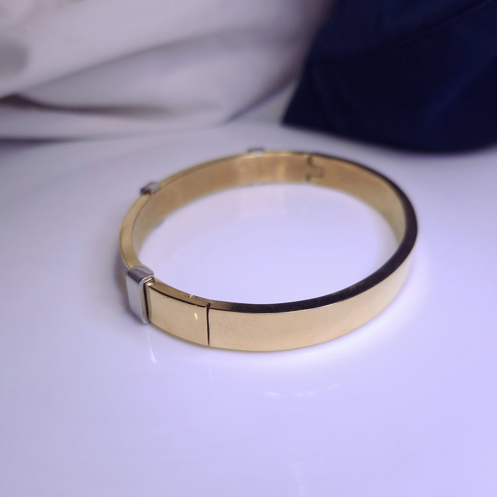 Titan Edge Dual-Tone Bracelet