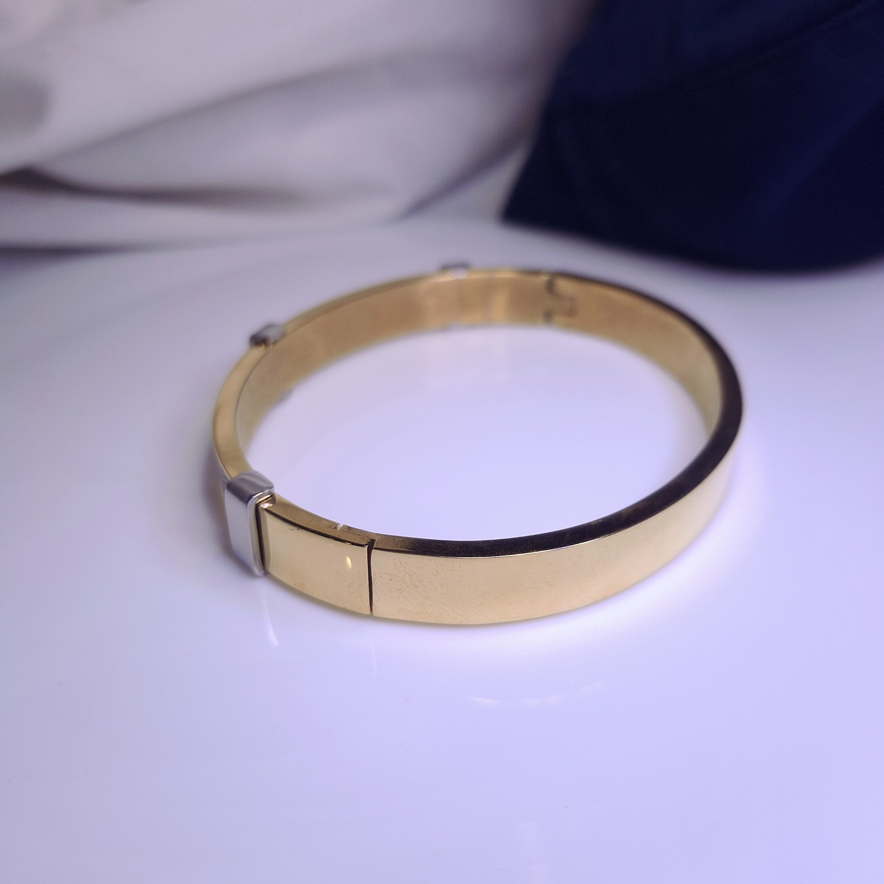 Titan Edge Dual-Tone Bracelet