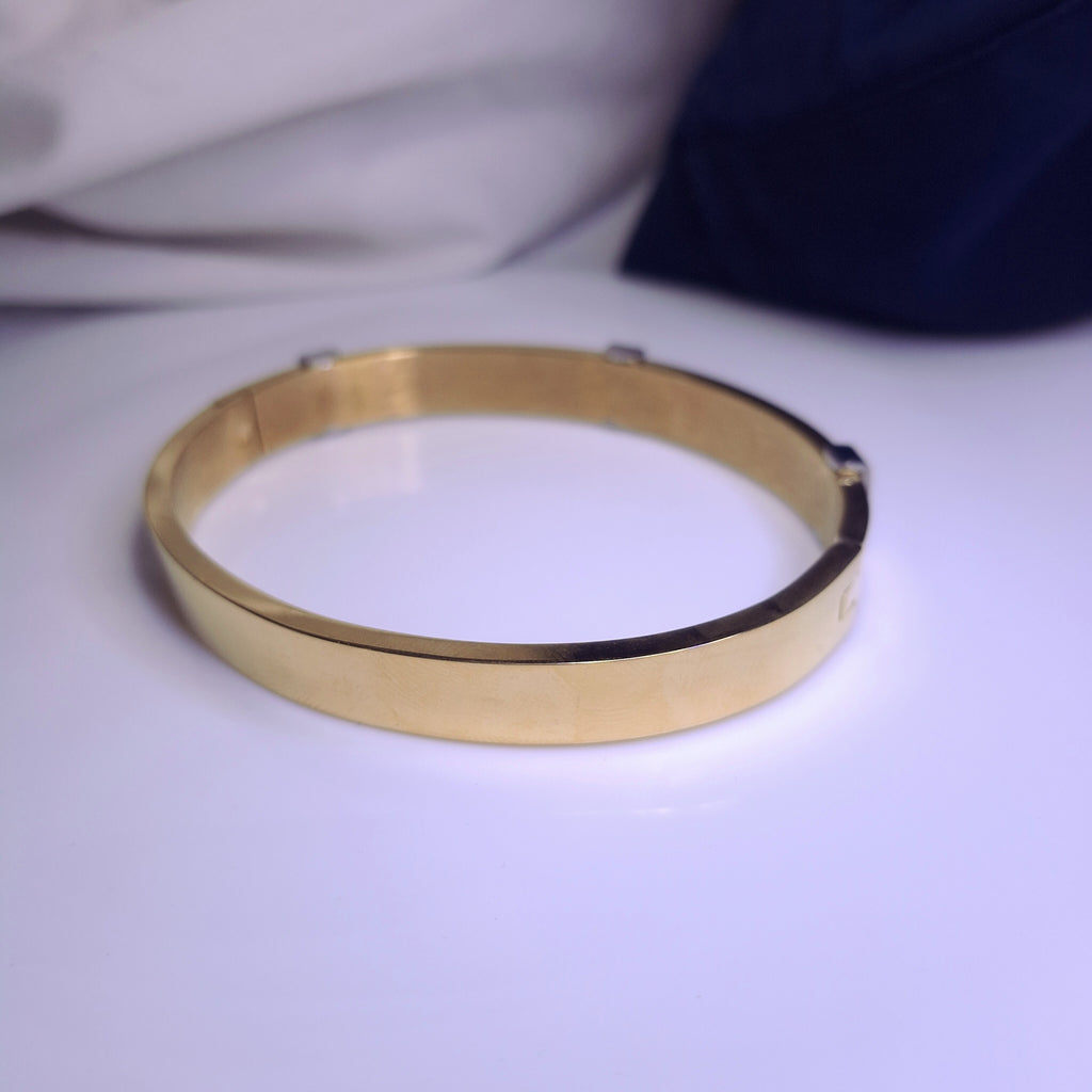 Titan Edge Dual-Tone Bracelet