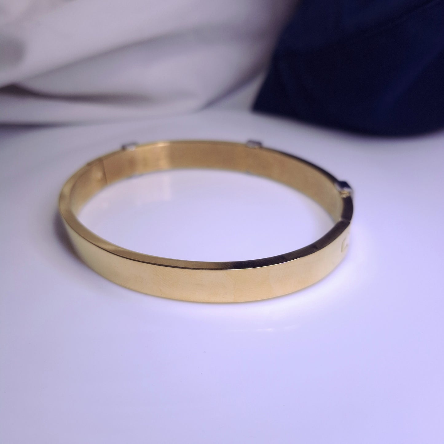 Titan Edge Dual-Tone Bracelet